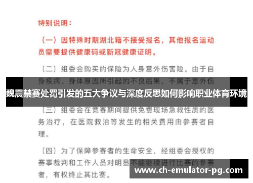 魏震禁赛处罚引发的五大争议与深度反思如何影响职业体育环境