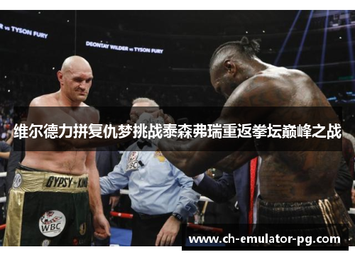 维尔德力拼复仇梦挑战泰森弗瑞重返拳坛巅峰之战