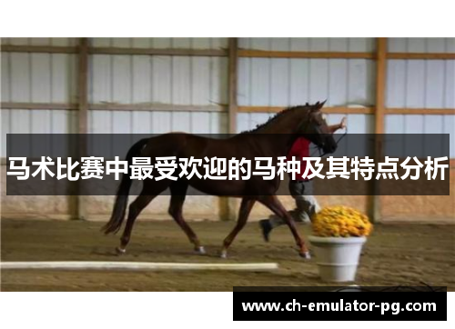 马术比赛中最受欢迎的马种及其特点分析 马术比赛中最受欢迎的马种及其特点分析