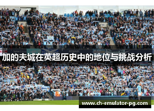 加的夫城在英超历史中的地位与挑战分析