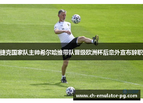 捷克国家队主帅希尔哈维带队晋级欧洲杯后意外宣布辞职 捷克国家队主帅希尔哈维带队晋级欧洲杯后意外宣布辞职