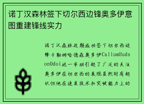 诺丁汉森林签下切尔西边锋奥多伊意图重建锋线实力
